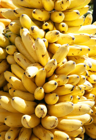 A huge bunch of ripe bananas closeupの写真素材