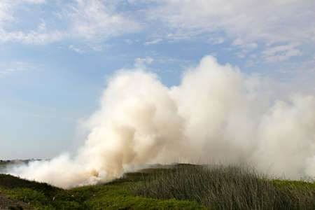 A fire is used to clear the land along the coast of Peruの写真素材