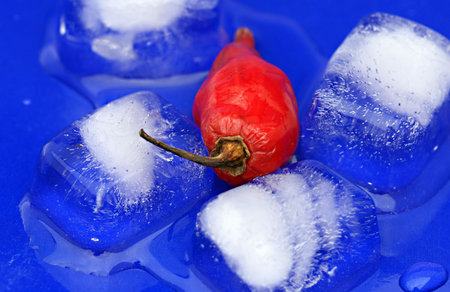A spicy hot pepper melts the blue iceの写真素材