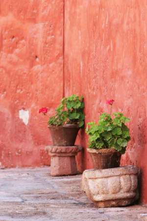 Inside the ancient Santa Catalina convent in Arequipa, Peruの写真素材