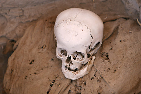 Skulls and bones in Chauchilla, an ancient cemetery in the desert of Nazca, Peru. The remains of...