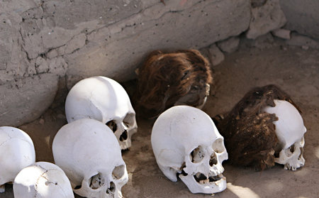 Skulls and bones in Chauchilla, an ancient cemetery in the desert of Nazca, Peru. The remains of manypeople, some still with long hair, can be seen.の写真素材