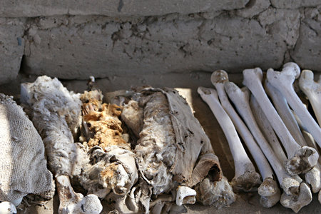 A pile of human bones in Chauchilla, an ancient cemetery in the desert of Nazca, Peru. The remains...