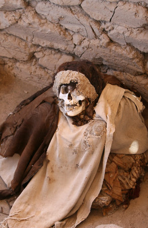 This pre-incan mummy is preserved by the dry desert air with hair intact. Skulls and bones in Chauchilla, an ancient cemetery in the desert of Nazca, Peru. The remains of many people, some still with long hair, can be seen.の写真素材