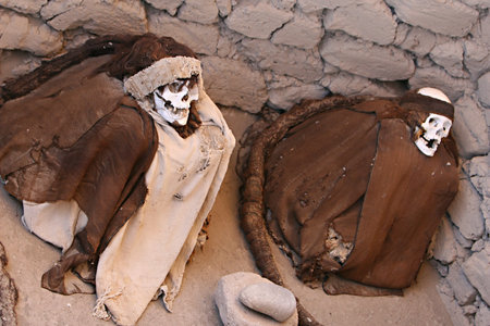 This pre-incan mummy is preserved by the dry desert air with hair intact. Skulls and bones in Chauchilla, an ancient cemetery in the desert of Nazca, Peru. The remains of many people, some still with long hair, can be seen.の写真素材