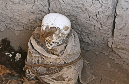 This pre-incan mummy is preserved by the dry desert air with hair intact. Skulls and bones in Chauchilla, an ancient cemetery in the desert of Nazca, Peru. The remains of many people, some still with long hair, can be seen.の写真素材