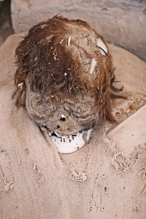 This pre-incan mummy is preserved by the dry desert air with hair intact. Skulls and bones in Chauchilla, an ancient cemetery in the desert of Nazca, Peru. The remains of many people, some still with long hair, can be seen.の写真素材