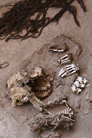 A pile of human bones in Chauchilla, an ancient cemetery in the desert of Nazca, Peru. The remains of manypeople, some still with long hair, can be seen.の写真素材
