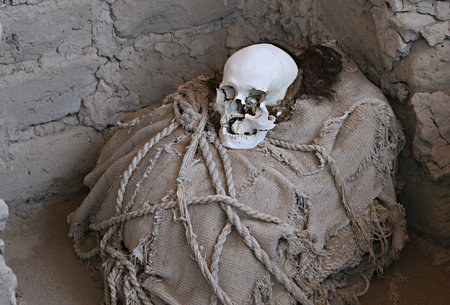This pre-incan mummy is preserved by the dry desert air with hair intact. Skulls and bones in Chauchilla, an ancient cemetery in the desert of Nazca, Peru. The remains of many people, some still with long hair, can be seen.の写真素材