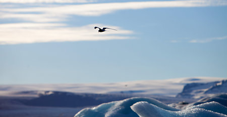 Melting glacier ice at Jokulsarlon lake caused by global warming