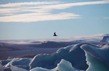 Melting glacier ice at Jokulsarlon lake caused by global warmingの写真素材