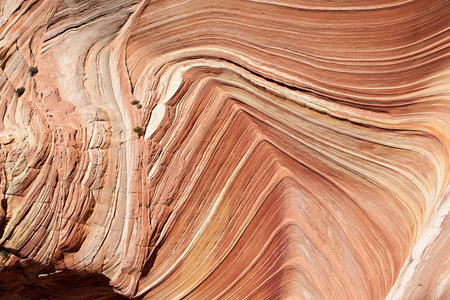 Unique sandstone formations on the border of Arizona and Utah in the United States