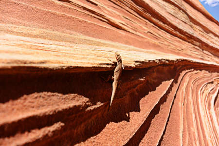 Unique sandstone formations on the border of Arizona and Utah in the United Statesの写真素材