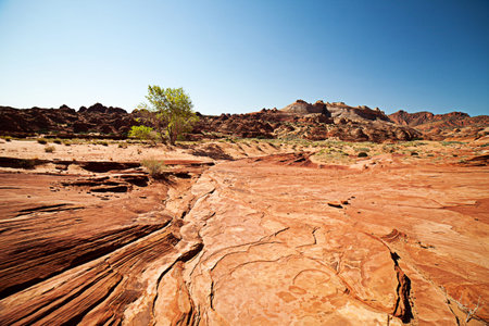 Unique sandstone formations on the border of Arizona and Utah in the United States