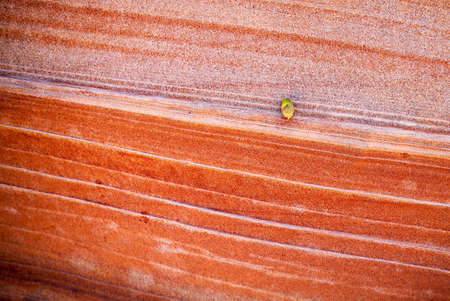 Unique sandstone formations on the border of Arizona and Utah in the United Statesの写真素材