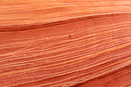Unique sandstone formations on the border of Arizona and Utah in the United Statesの写真素材