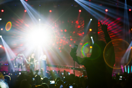 Silhouettes of crowd at a rock concert