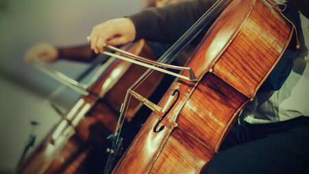 Symphony orchestra on stage, hands playing celloの写真素材