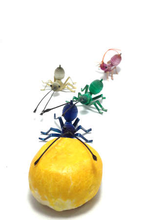 Plastic sheets model of antsの写真素材