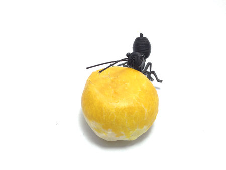 Plastic sheets model of ants