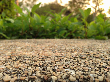 Sand wall background texture with natural bush over frameの写真素材