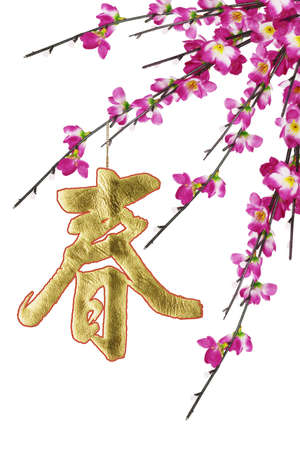 Chinese New Year calligraphy ornament and plum blossoms on white background の写真素材