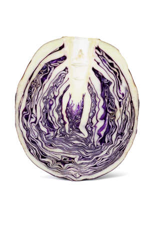 Half slice of red cabbage on white backgroundの写真素材