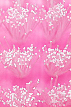 Abstract background micro image of brush bristles