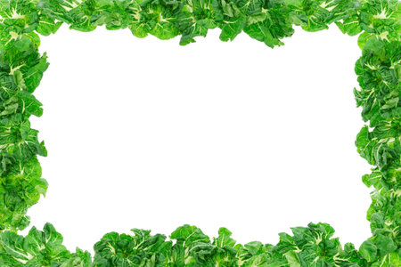 Green vegetable frame background with copy spaceの写真素材