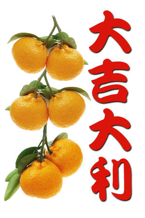 Chinese new year greetings and mandarin oranges on white backgroundの写真素材