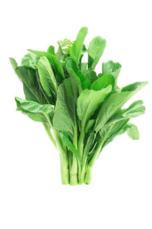 Bunch of fresh green mustard on white background (Brassica juncea)の写真素材