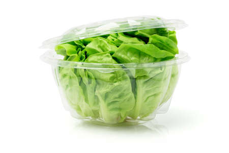 Green Lettuce In Open Plastic Container On White Backgroundの写真素材