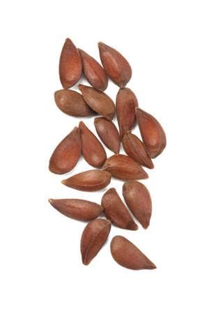 Apple Seeds On White Backgroundの写真素材