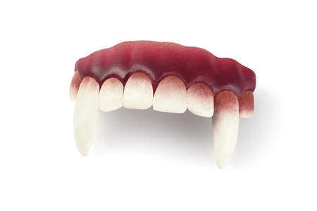 False Vampire Teeth on White Backgroundの写真素材