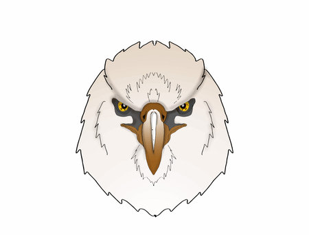 a face of an eagle