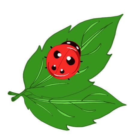 ladybug with leaf iconのイラスト素材
