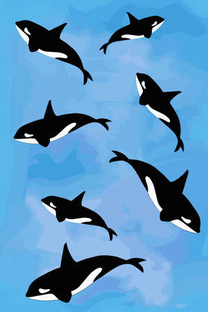 Cartoon orca,killer whale pattern blue background.のイラスト素材