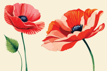 red poppies on a beige background, vector illustration.のイラスト素材