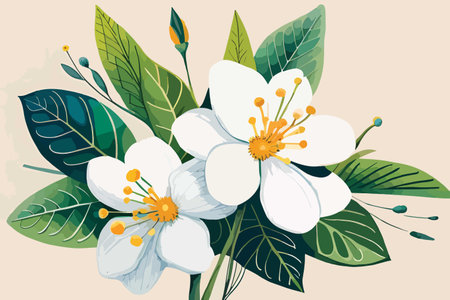 white flowers with leafs and seeds vector illustartion graphic designのイラスト素材