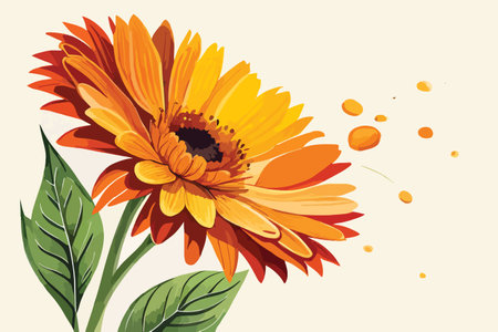 Orange Calendula flowers with green leaves on white background. Vector illustration.のイラスト素材