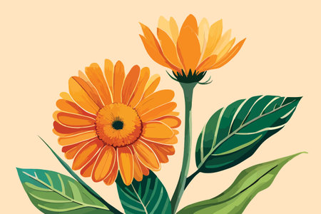 beautiful flowers with leafs and seeds decoration vector illustration designiconのイラスト素材