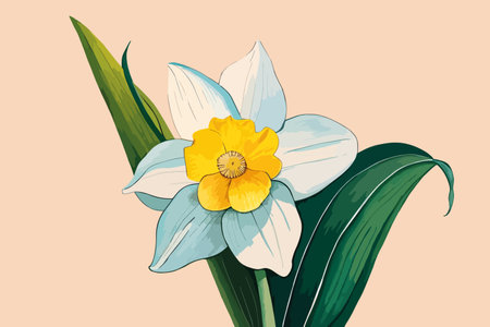 Daffodil flower. Vector illustration in hand drawn style.のイラスト素材