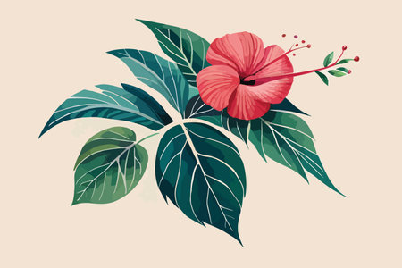 Hibiscus flower with leaves. Vector illustration in flat styleのイラスト素材