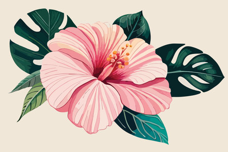 Pink hibiscus flower with green leaves. Vector illustration.のイラスト素材