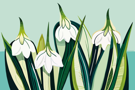 Snowdrop flowers. Vector illustration in flat style. Spring floral background.のイラスト素材