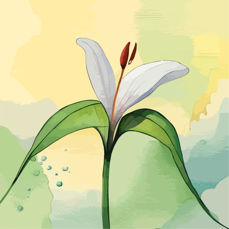 Illustration of a white lily flower on a watercolor backgroundのイラスト素材
