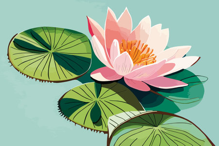 Water lily. Vector illustration of a water lily with leaves.のイラスト素材
