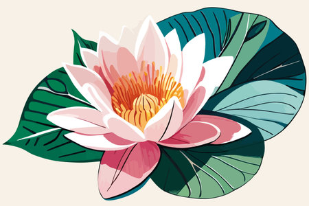 Beautiful pink lotus flower with green leaves. Vector illustration.のイラスト素材