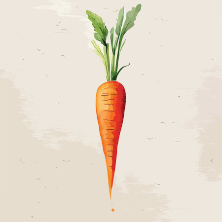 Carrot vector illustration. Vintage style. Hand drawn illustration of carrot.のイラスト素材