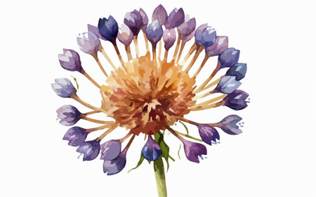 Watercolor illustration of a purple flower isolated on a white background.のイラスト素材